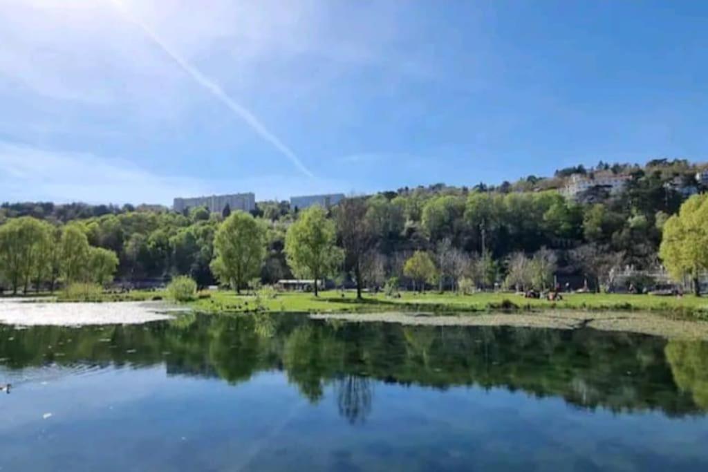 Appartement Dans Peniche Atypique Et Idyllique A Confluence Lyon Exteriör bild